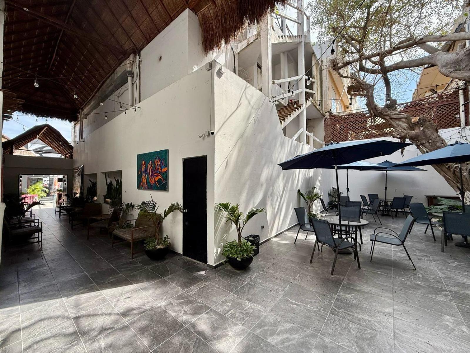 Casa Tortuga 5Th Ave Playa del Carmen Exterior foto