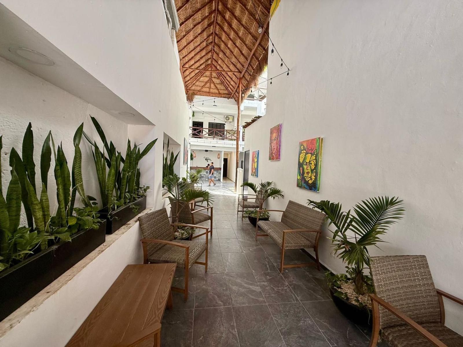 Casa Tortuga 5Th Ave Playa del Carmen Exterior foto