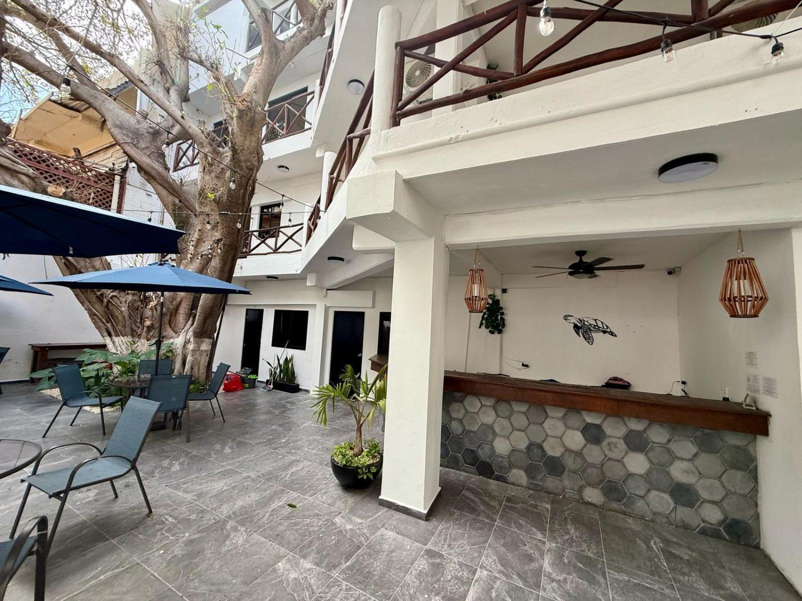 Casa Tortuga 5Th Ave Playa del Carmen Exterior foto